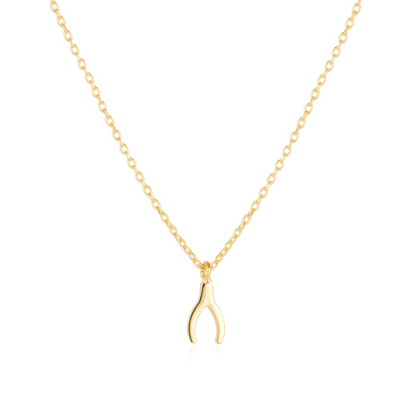 Sterling Mini Wishbone Necklace