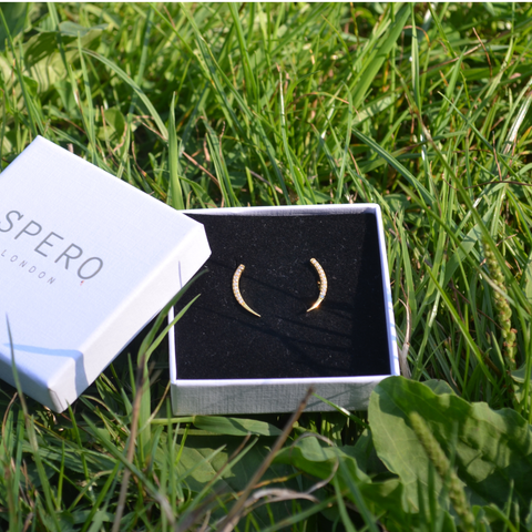 Sterling Silver Fishbone Earrings