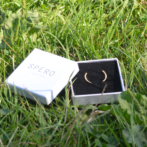 Sterling Silver Fishbone Earrings