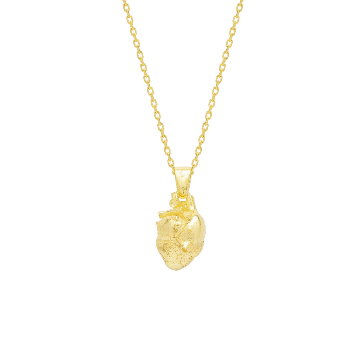 Sterling Silver Anatomical Heart Necklace