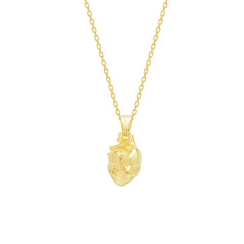 Sterling Silver Anatomical Heart Necklace