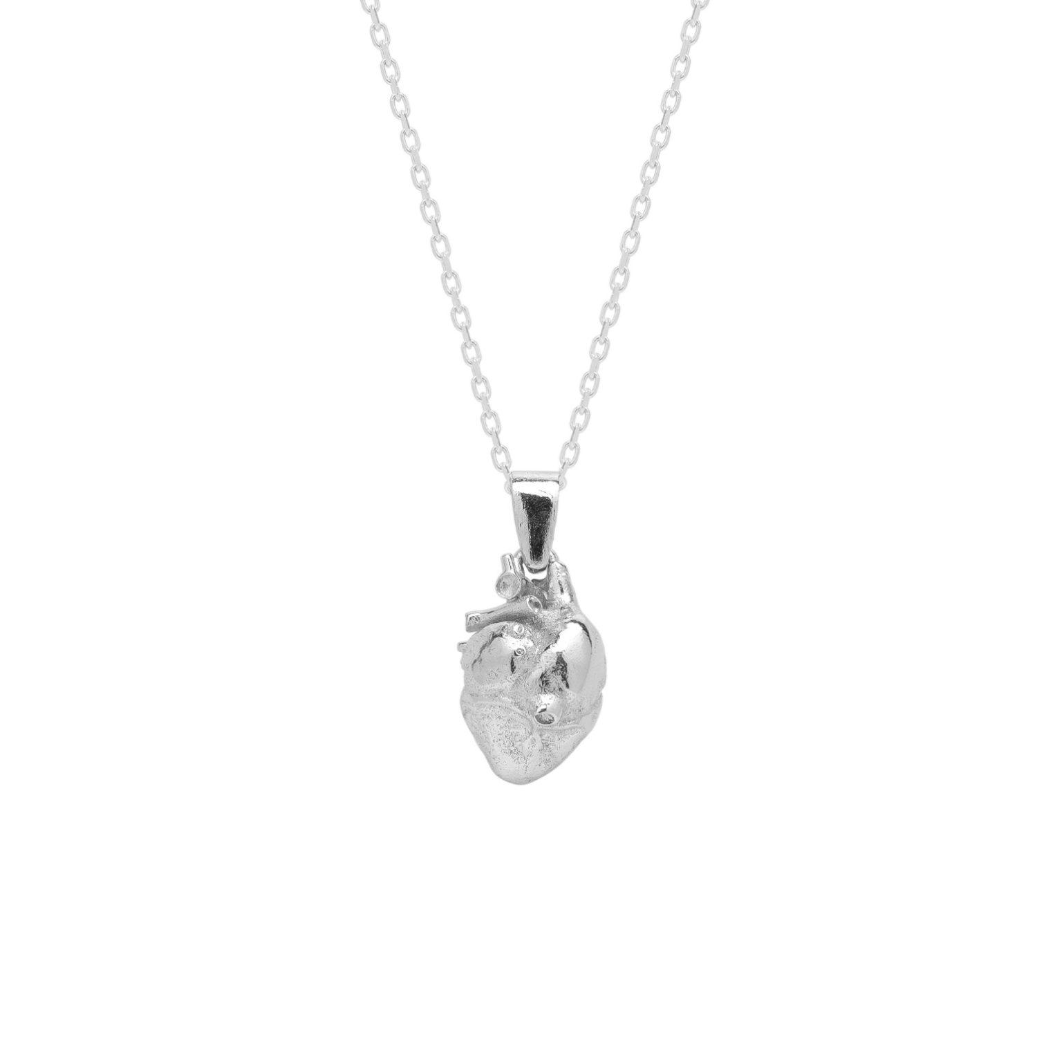 Sterling Silver Anatomical Heart Necklace